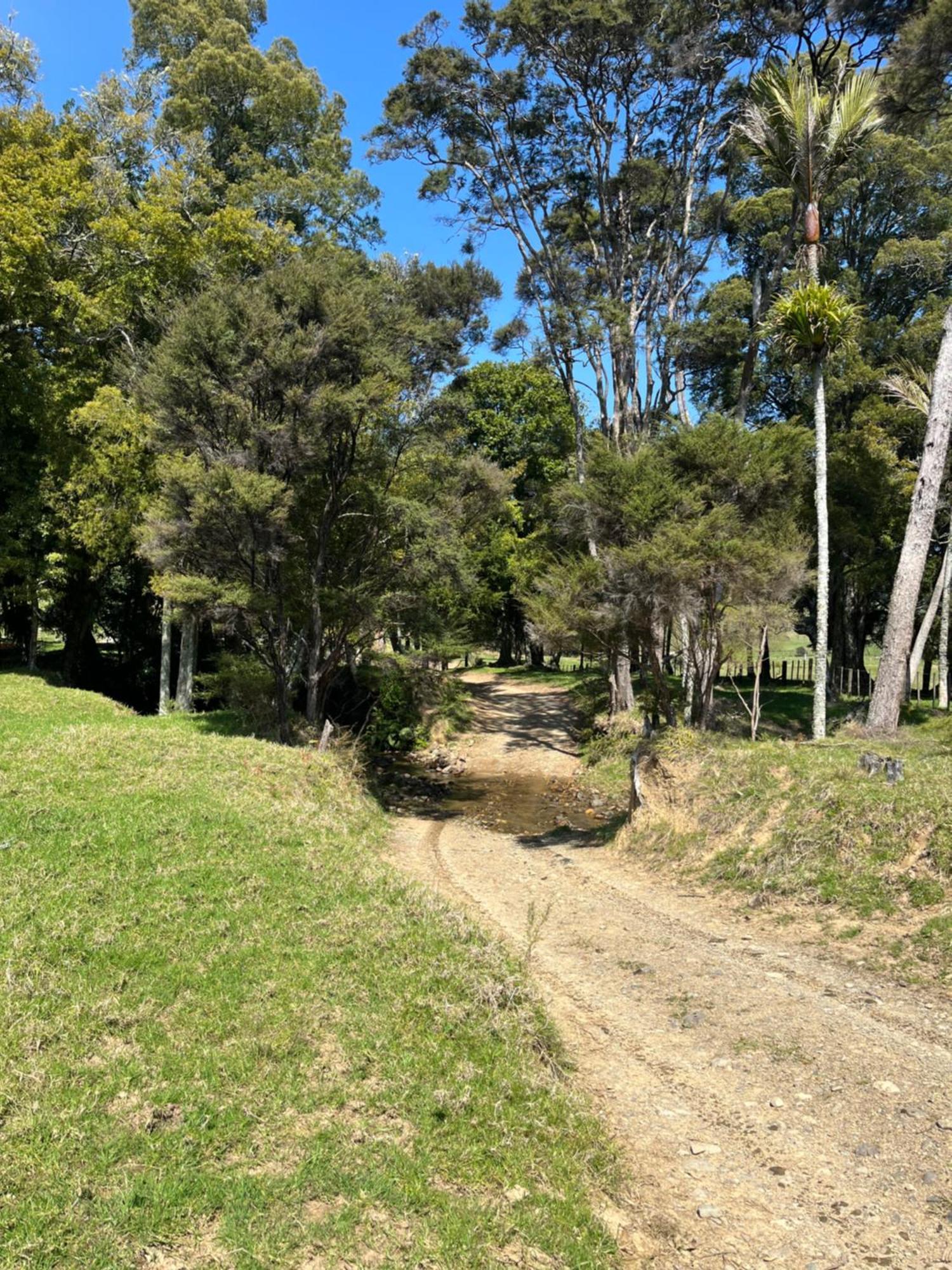 White Star Station Farm Holiday Park Coromandel 외부 사진