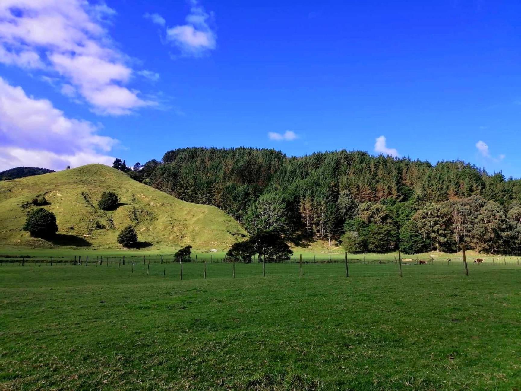 White Star Station Farm Holiday Park Coromandel 외부 사진